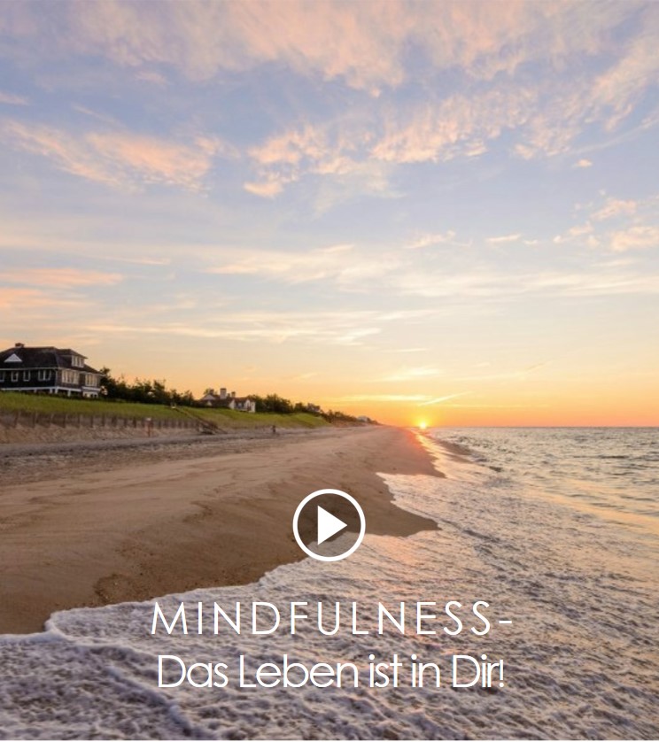 Mindfulness mit Vily Bergen